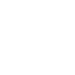 Icon_sabutti_Onlineshoppen_w-01